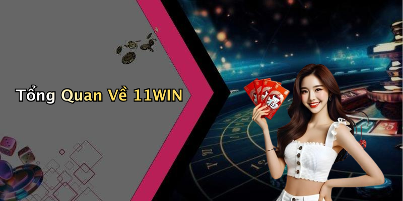 Tổng Quan Về 11WIN